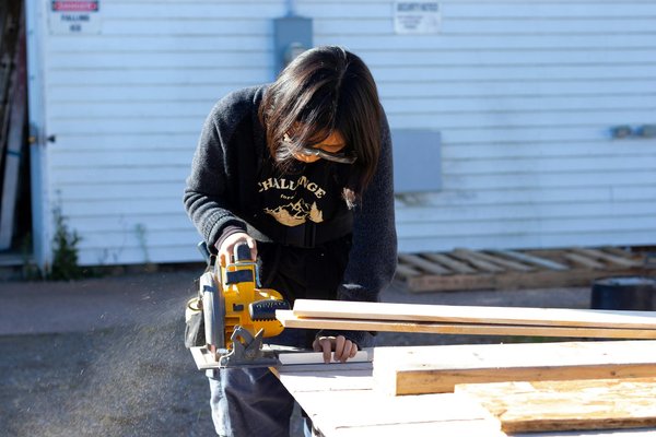 Traitement efficace des punaises de lit à paris : agissez vite !