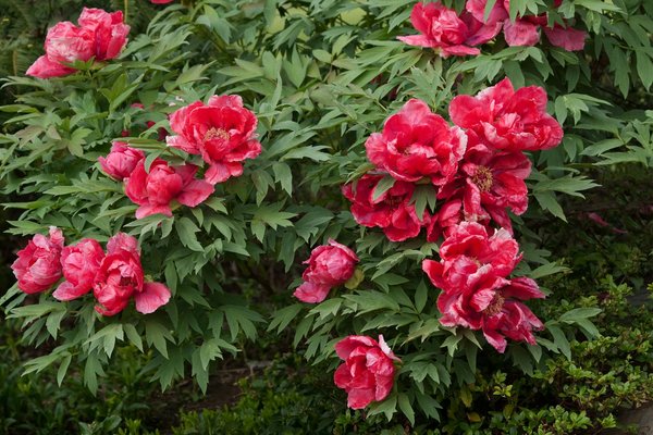 Le guide ultime du volet roulant solaire pour votre maison