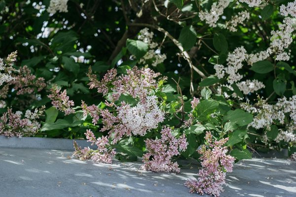 Pompe à chaleur air/eau : guide d'achat essentiel pour bien choisir