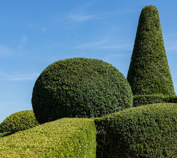 astuces pour préparer son jardin avant un déménagement