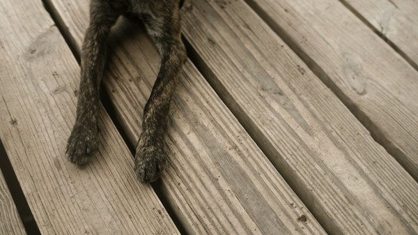 Transformez votre intérieur avec un plancher chauffant solaire